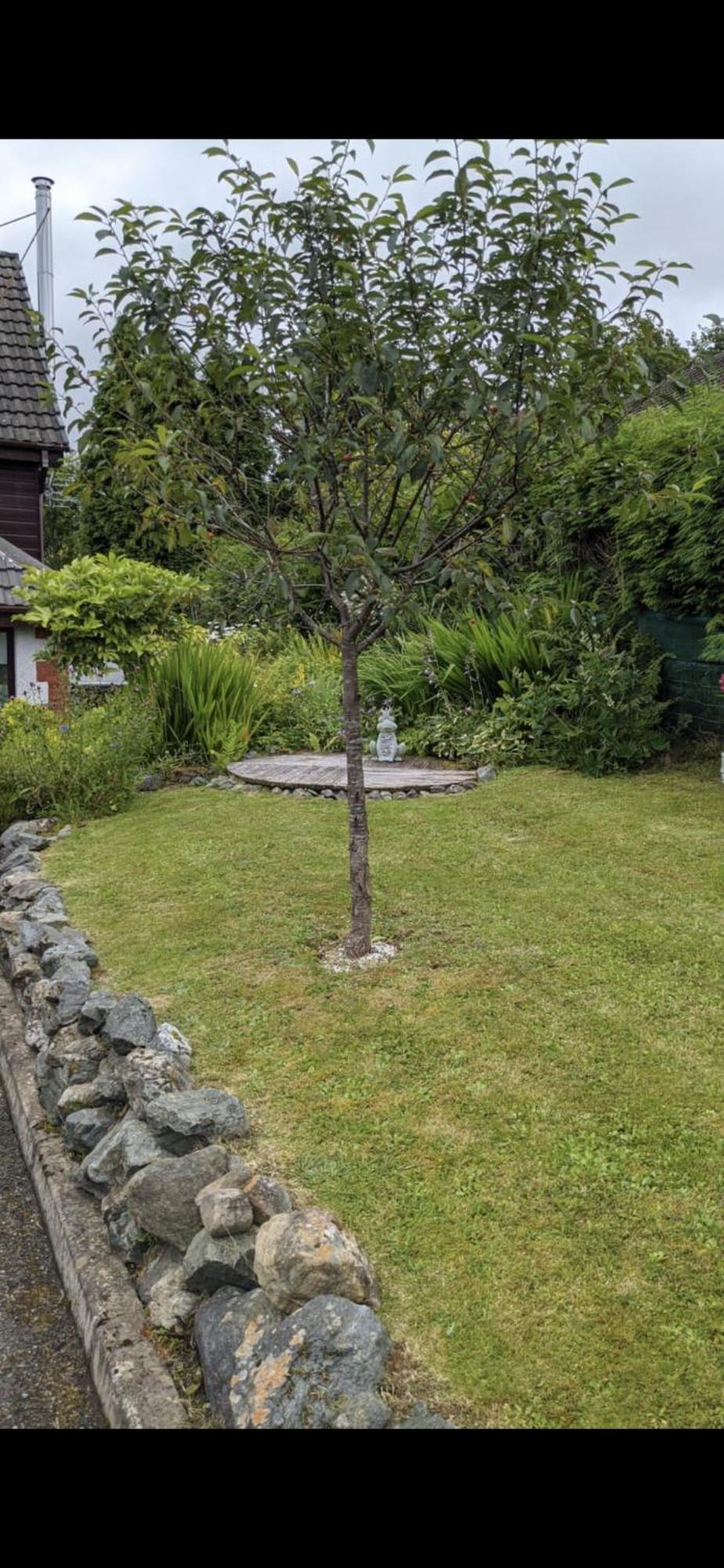 פורט ויליאם Contemporary Highland House Close To Town And Ben Nevis מראה חיצוני תמונה